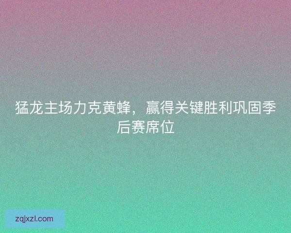猛龙主场力克黄蜂，赢得关键胜利巩固季后赛席位