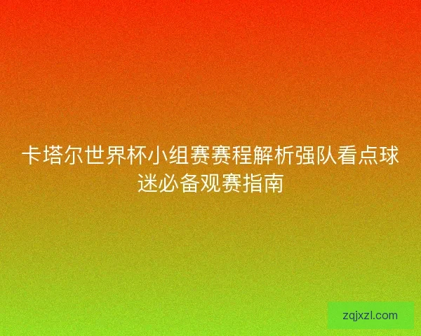 卡塔尔世界杯小组赛赛程解析强队看点球迷必备观赛指南