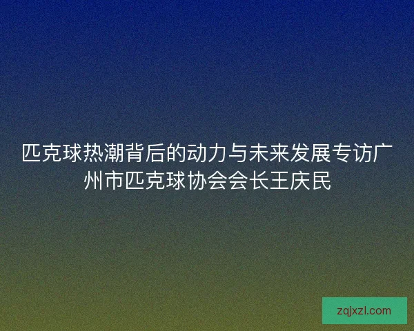 匹克球热潮背后的动力与未来发展专访广州市匹克球协会会长王庆民 匹克球热潮背后的动力与未来发展专访广州市匹克球协会会长王庆民